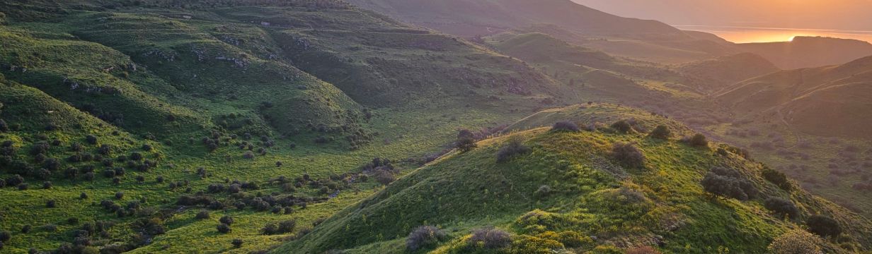 Отели Израиля