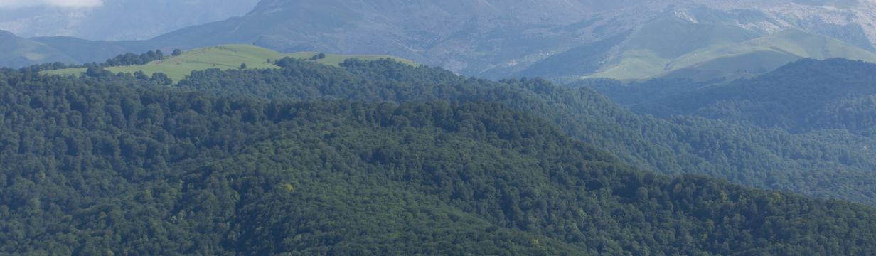 Бюджетные туры в Азербайджан